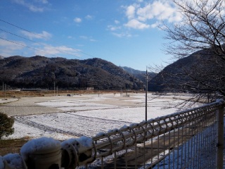 �O���l���B