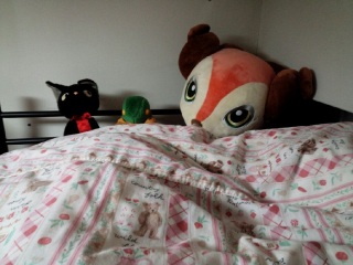 ���̖Z�������Ɂc