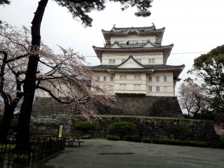 ���c����I