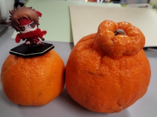 �f�R�|���B