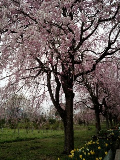 ��������B