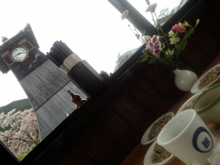 �o�΋����B