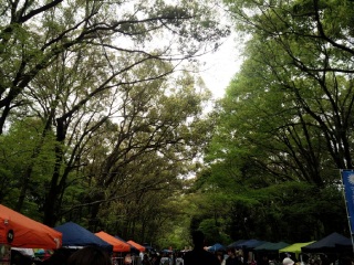 �����_�ЁB